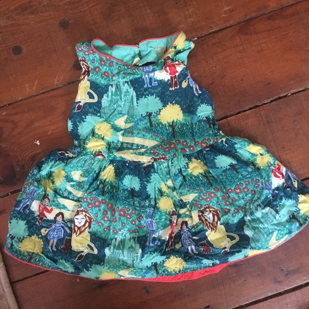 ✨wizard of Oz dress ✨